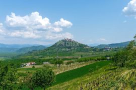 ISTRA, MOTOVUN - Izvanredna kuća s bazenom na izuzetnoj lokaciji, Motovun, House