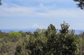 ISTRA,LABIN(OKOLICA) - Građevinsko zemljište s projektom na osami okruženo šumom, Labin, Land