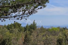 ISTRA,LABIN(OKOLICA) - Građevinsko zemljište s projektom na osami okruženo šumom, Labin, Terreno