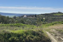 ISTRA, BUJE - Građevinsko zemljište na rubu naselja s pogledom na more i prirodu, Buje, Tierra