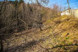 GORSKI KOTAR, ČABAR- Ruševna kuća s velikim zemljištem u najljepšem dijelu Gorskoga Kotara, Čabar, Kuća