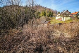 GORSKI KOTAR, ČABAR- Ruševna kuća s velikim zemljištem u najljepšem dijelu Gorskoga Kotara, Čabar, House