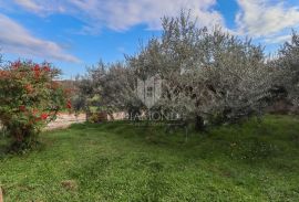 Rovinj, okolica, prizemnica na prostranoj okućnici, Rovinj, House