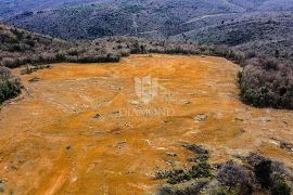 Barban, jug Istre, veliko građevinsko zemljište za 53 objekta, Barban, Terra