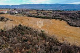 Barban, jug Istre, veliko građevinsko zemljište za 53 objekta, Barban, Land