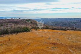 Barban, jug Istre, veliko građevinsko zemljište za 53 objekta, Barban, Terreno