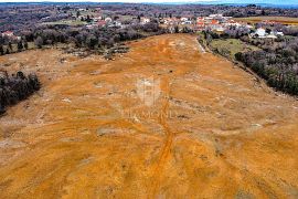 Barban, jug Istre, veliko građevinsko zemljište za 53 objekta, Barban, Terra