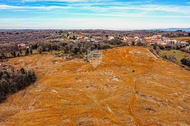 Barban, jug Istre, veliko građevinsko zemljište za 53 objekta, Barban, Land