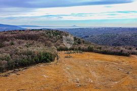 Barban, jug Istre, veliko građevinsko zemljište za 53 objekta, Barban, Land