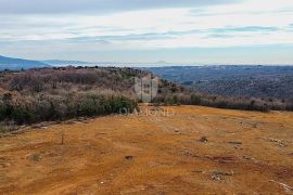 Barban, jug Istre, veliko građevinsko zemljište za 53 objekta, Barban, Terra