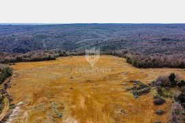 Barban, jug Istre, veliko građevinsko zemljište za 53 objekta, Barban, Land