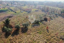 Barban, Jug Istre, građevinsko zemljište, Barban, Land