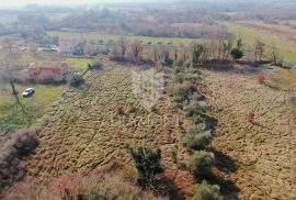 Barban, Jug Istre, građevinsko zemljište, Barban, Terrain