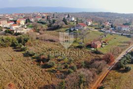 Barban, Jug Istre, građevinsko zemljište, Barban, Land