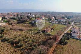 Barban, Jug Istre, građevinsko zemljište, Barban, Terrain