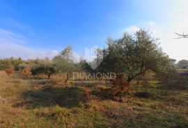 Barban, Jug Istre, građevinsko zemljište, Barban, Land