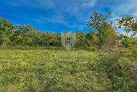 Grožnjan okolica, građevinsko zemljište na mirnoj lokaciji, Grožnjan, Land