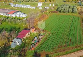 Brtonigla, prostrano građevinsko zemljište!, Brtonigla, Arazi