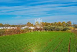 Brtonigla, prostrano građevinsko zemljište!, Brtonigla, Land