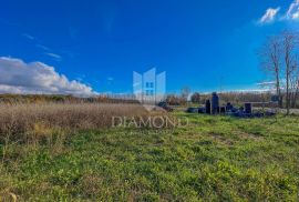 Umag okolica, prostrano zemljište sa potencijalom, Umag, Terrain