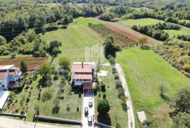 Barban, okolica, obiteljska kuća sa velikom okućnicom, Barban, House