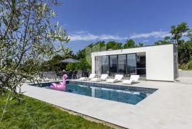 Istočna Istra, moderna Villa sa bazenom i prekrasnim pogledom, Labin, Famiglia