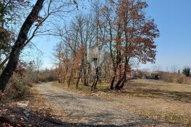 Tinjan, okolica, građevinsko zemljište na lijepoj lokaciji, Tinjan, Land