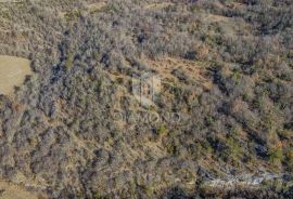 Prostrano zemljište okruženo prirodom nedaleko od Grožnjana, Grožnjan, Terrain