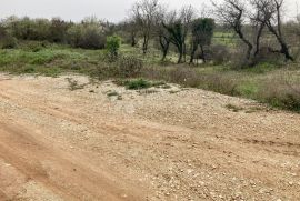 SAMO U DOGMI! GRAĐEVINSKO ZEMLJIŠTE ZA VAŠ BIJEG  U PRIRODU, Barban, Zemljište