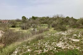 SAMO U DOGMI! GRAĐEVINSKO ZEMLJIŠTE ZA VAŠ BIJEG  U PRIRODU, Barban, Land