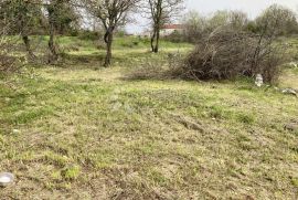 SAMO U DOGMI! GRAĐEVINSKO ZEMLJIŠTE ZA VAŠ BIJEG  U PRIRODU, Barban, Land