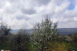 ISTRA,LABIN,KAMENA KUĆA I ŠTALA, EKSKLUZIVNO, Labin, Famiglia