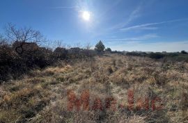 PRIVLAKA građevinsko zemljište, Privlaka, Land