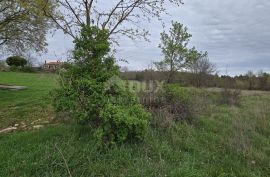 ISTRA, MARČANA - Građevinsko zemljište s dozvolom za izgradnju katnice s bazenom, Marčana, Tierra