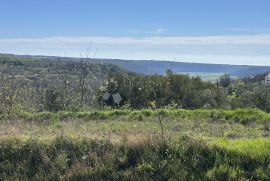 ZEMLJIŠTE SA POGLEDOM NA MORE I MASLINIKE, Buje, Land