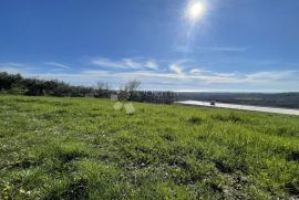 ZEMLJIŠTE SA PANORAMSKIM POGLEDOM I PROJEKTOM, Buje, Land