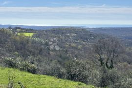 ZEMLJIŠTE SA TOP POGLEDOM I GRAĐEVINSKOM DOZVOLOM, Buje, Zemljište