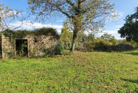 ISTRA, GRAČIŠĆE - Imanje 6880 m2 s kamenom kućom u mirnom naselju na uzvisini, Gračišće, House