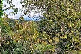 ISTRA, GRAČIŠĆE - Imanje 6880 m2 s kamenom kućom u mirnom naselju na uzvisini, Gračišće, Casa