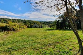 ISTRA, GRAČIŠĆE - Imanje 6880 m2 s kamenom kućom u mirnom naselju na uzvisini, Gračišće, House