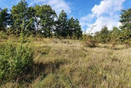 ISTRA, GRAČIŠĆE - Imanje 6880 m2 s kamenom kućom u mirnom naselju na uzvisini, Gračišće, House