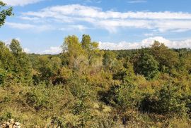 ISTRA, GRAČIŠĆE - Imanje 6880 m2 s kamenom kućom u mirnom naselju na uzvisini, Gračišće, Casa