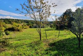 ISTRA, GRAČIŠĆE - Kompleks zemljišta na top lokaciji prekrasnog pogleda, Gračišće, Land