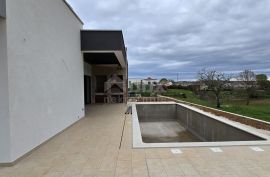 ISTRA, TINJAN - Novoizgrađena moderna vila s bazenom, zadnja u građevinskoj zoni, Tinjan, Casa