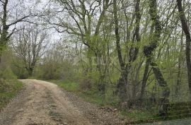 ISTRA, KANFANAR - Prostrano poljoprivredno zemljište od 17.5 hektara, Kanfanar, Terreno