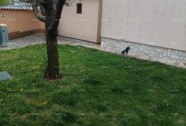 Kuća Apartmanska kuća sa 5 apartmana, svaki s predivnim pogledom na more, Fažana, Haus