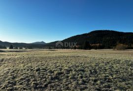 GORSKI KOTAR, RAVNA GORA - zemljište 801 m2 u blizini Delnica, Ravna Gora, Γη