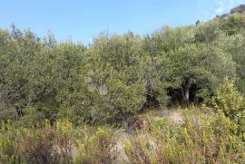 Poljoprivredno zemljište, Trogir, Terreno