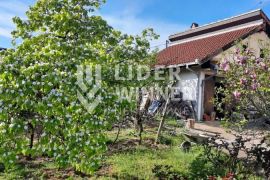 Kuća Grocka sa voćnjakom ID#128480, Grocka, Haus