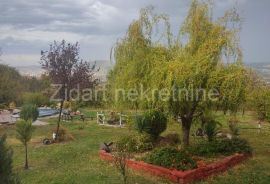 Aranđelovac, Vrbica, izuzetno etno selo, Εμπορικά ακίνητα